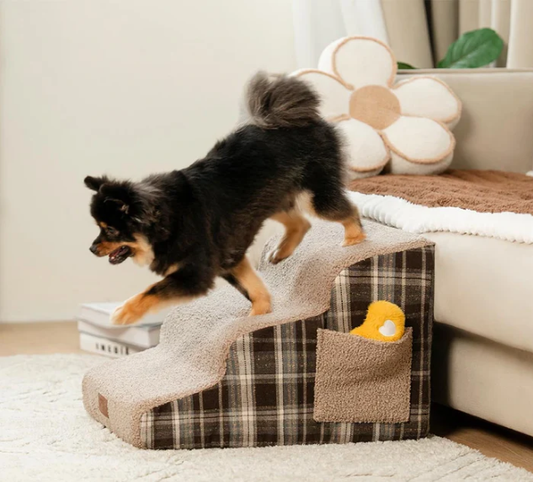 10 Fabulous Ways to Help Your Pet Up the Stairs!