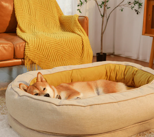 Unleash Ultimate Comfort with the Donut Orthopedic Dog Bed